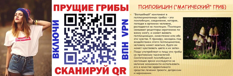 как найти закладки  Балашов  hydra сайт  Псилоцибиновые грибы Magic Shrooms 