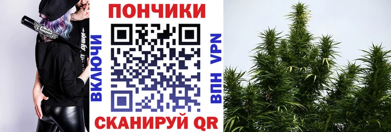 Шишки марихуана Amnesia  ссылка на мегу как зайти  Балашов  цены наркотик 